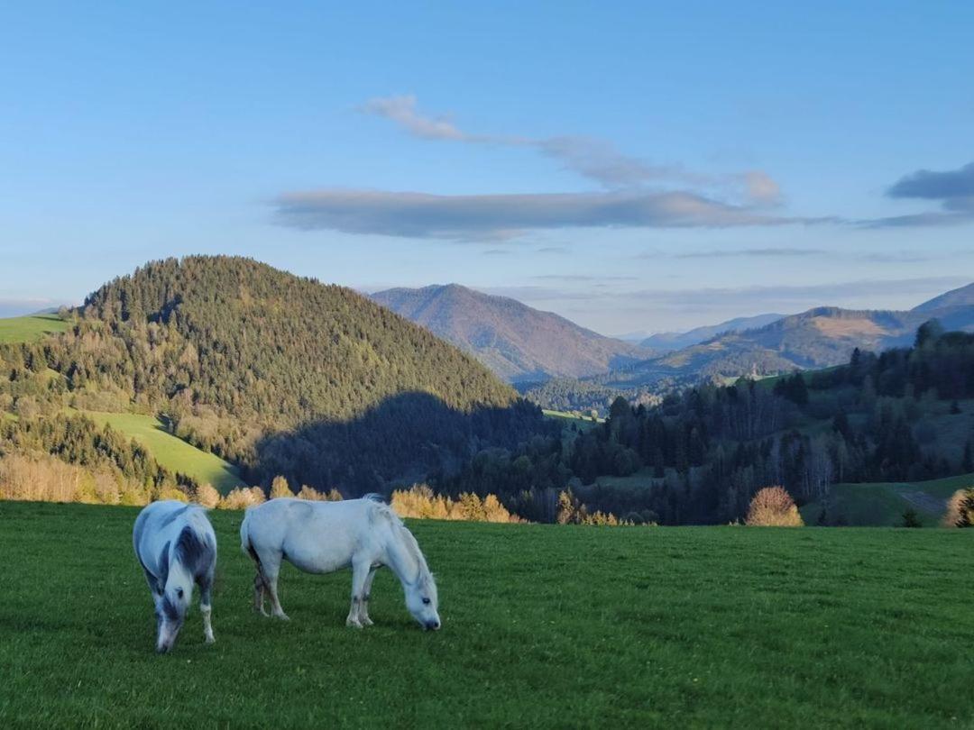 Penzion Zázrifka Zázrivá Kültér fotó